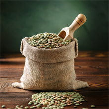 Lentilles vertes Bio